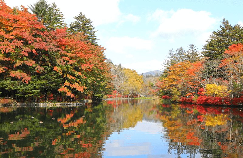 Kumoba Pond