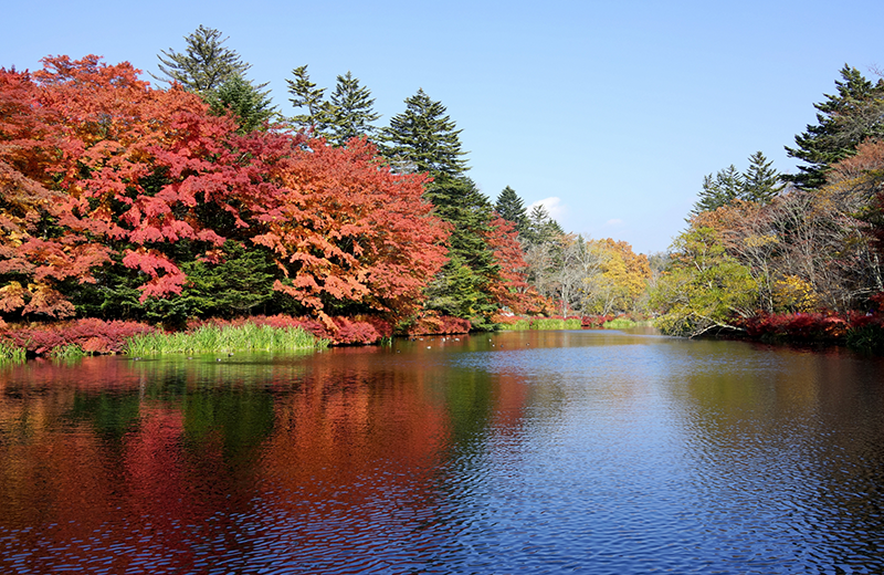 Kumoba Pond