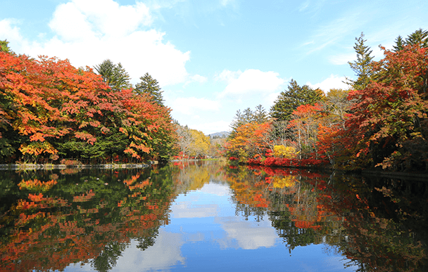 Kumoba Pond